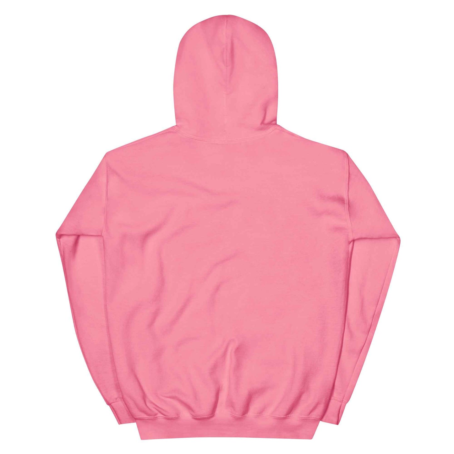 Sweat à capuche | 2XL-3XL-4XL-5XL | Logo noir - Oxcellence Official
